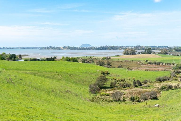 Photo of property in 288a Pahoia Road, Whakamarama, 3172