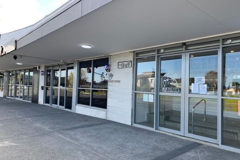 Photo of property in 87 Puhinui Road, Papatoetoe, Auckland, 2104