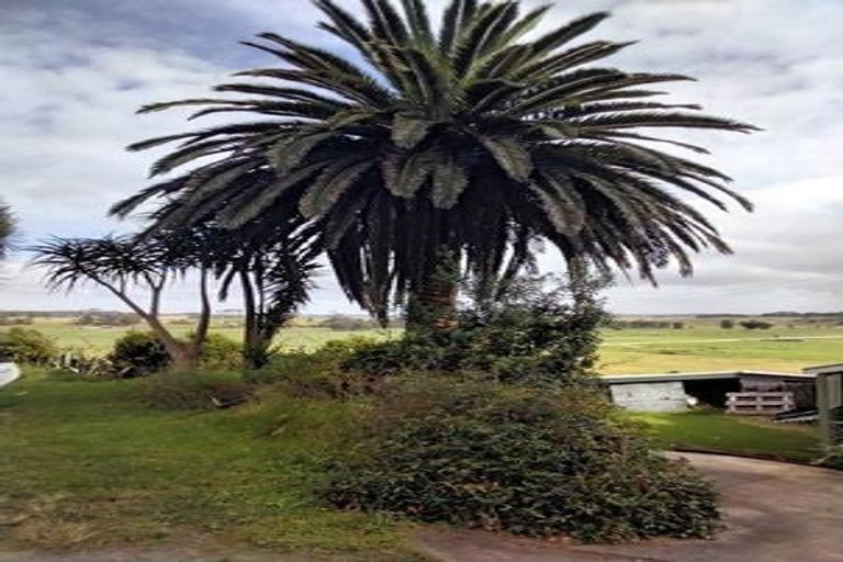 Photo of property in 295 Waihue Road, Dargaville, 0372