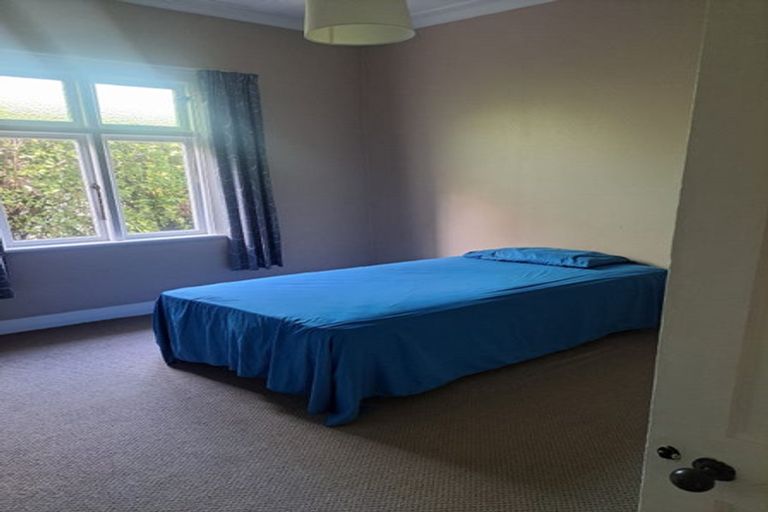 Photo of property in 6 Albert Street, Saint Clair, Dunedin, 9012