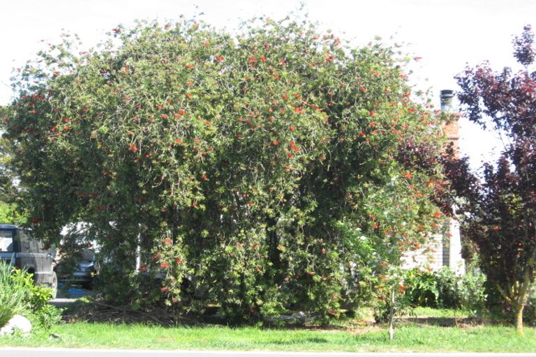 Photo of property in 17 Wellington Street, Te Hapara, Gisborne, 4010