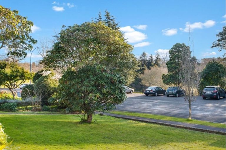 Photo of property in 11 Jellicoe Drive, Hamilton East, Hamilton, 3216