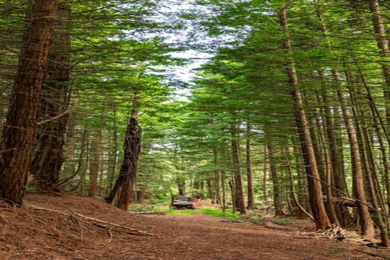 Photo of property in 200 Corbett Road, Waihi, 3681