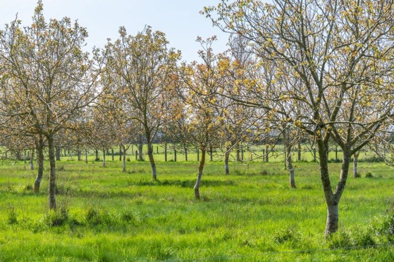 Photo of property in 864 Clintons Road, Charing Cross, Christchurch, 7671