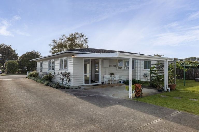 Photo of property in 74 Kennedy Drive, Levin, 5510