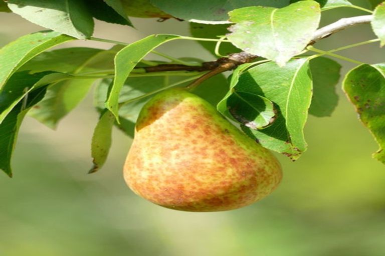 Photo of property in 52 Ongarue Village Road, Ongarue, 3997