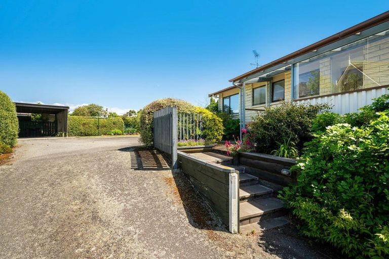 Photo of property in 3 Wilson Street, Renwick, 7204