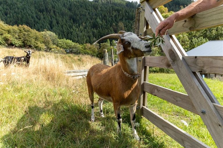 Photo of property in 14 Ralphine Way, Maitai, Nelson, 7010