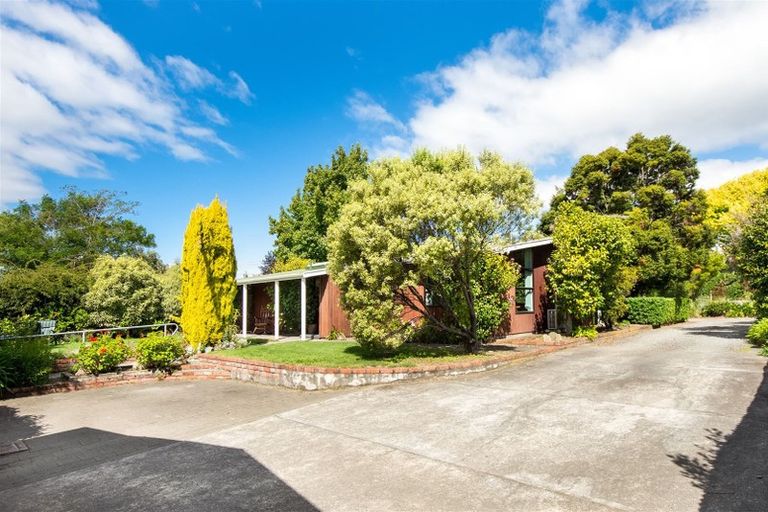 Photo of property in 4 Nelson Place, Renwick, 7204