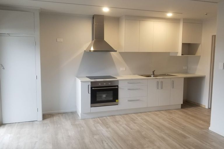 Photo of property in 109 Nixon Street, Hamilton East, Hamilton, 3216