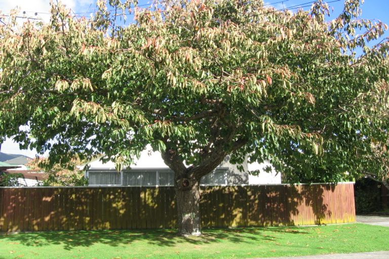 Photo of property in 1/35 Allen Street, Boulcott, Lower Hutt, 5011