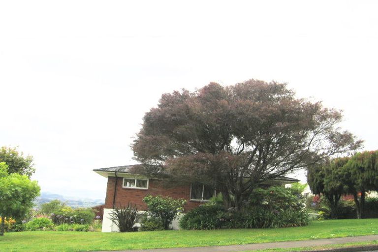 Photo of property in 24 Anzac Road, Pukekohe, 2120