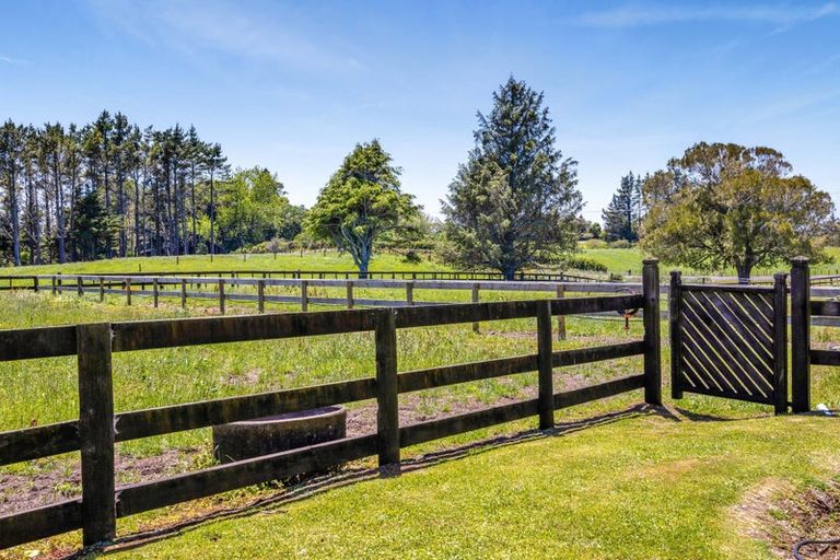 Photo of property in 1 Waingongoro Road, Cardiff, Stratford, 4391