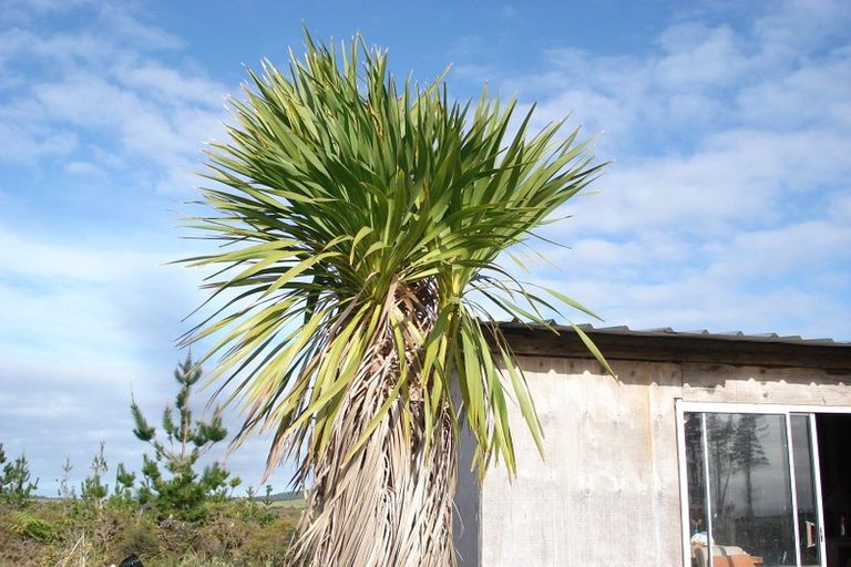 Photo of property in 336 Matai Bay Road, Karikari Peninsula, Kaitaia, 0483