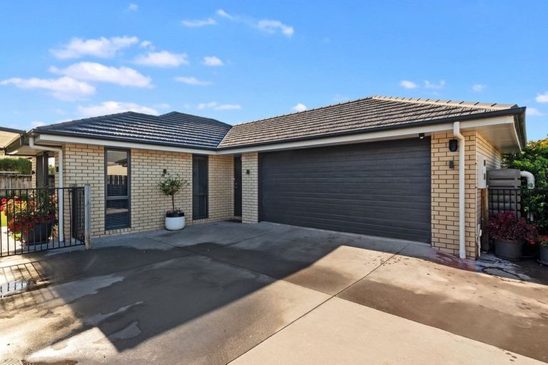 Photo of property in 6a Bell Street, Hamilton East, Hamilton, 3216