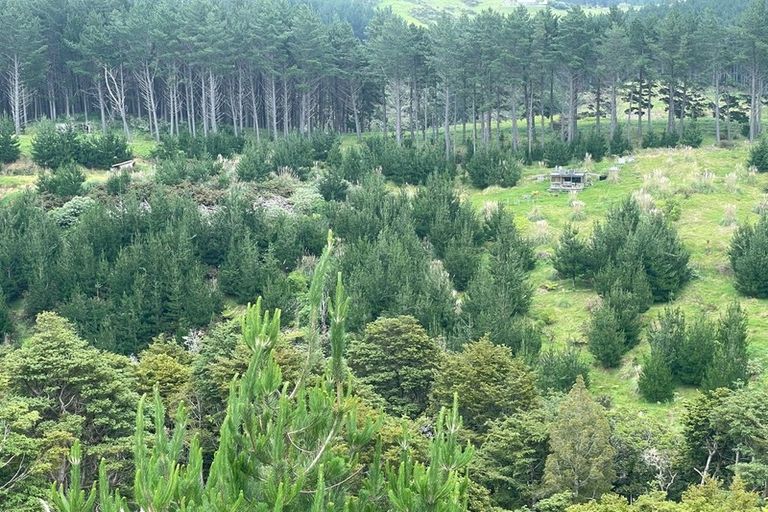 Photo of property in 609a Bickerstaffe Road, Maungaturoto, 0587