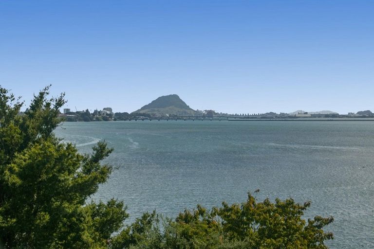 Photo of property in 49 Vine Avenue, Maungatapu, Tauranga, 3112