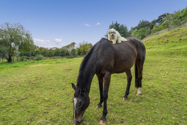 Photo of property in 81b Kaimarama Road, Kaimarama, Whitianga, 3591