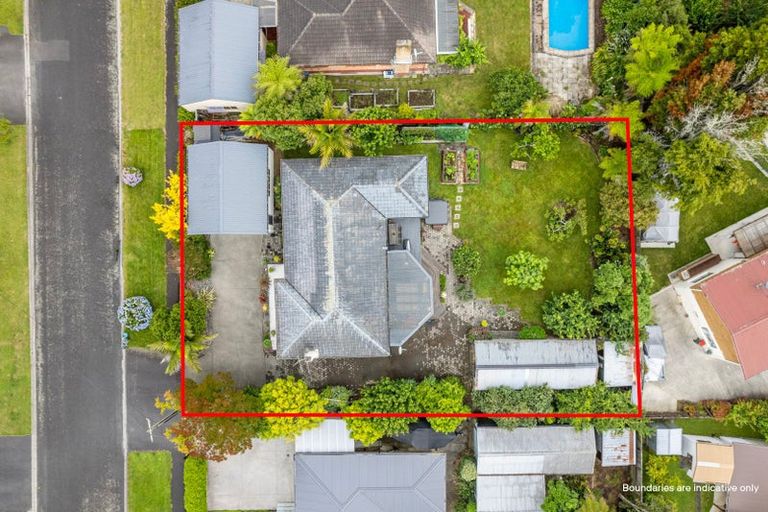 Photo of property in 19 Bailey Avenue, Claudelands, Hamilton, 3214