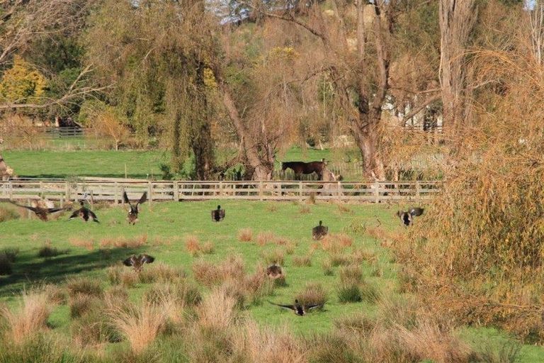 Photo of property in 62 Delhi Avenue, Aramoho, Whanganui, 4500