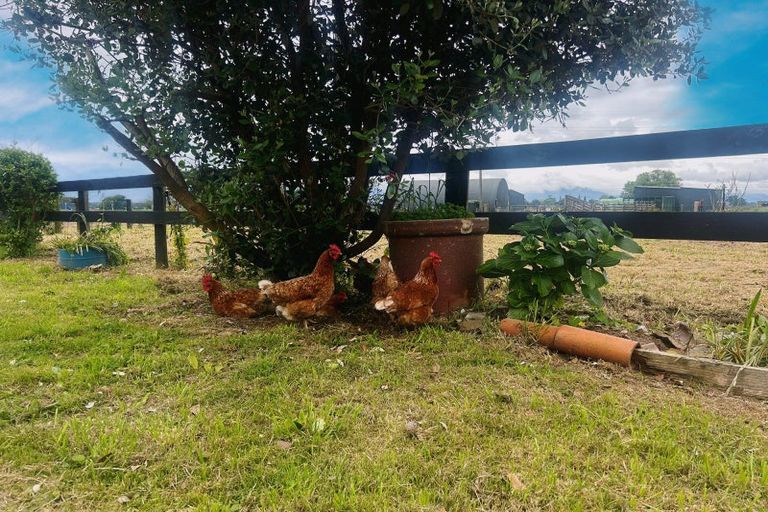 Photo of property in 31 Goodfellow Road, Waihou, Te Aroha, 3393