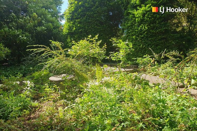 Photo of property in 39 Kirkwall Street, Palmerston, 9430