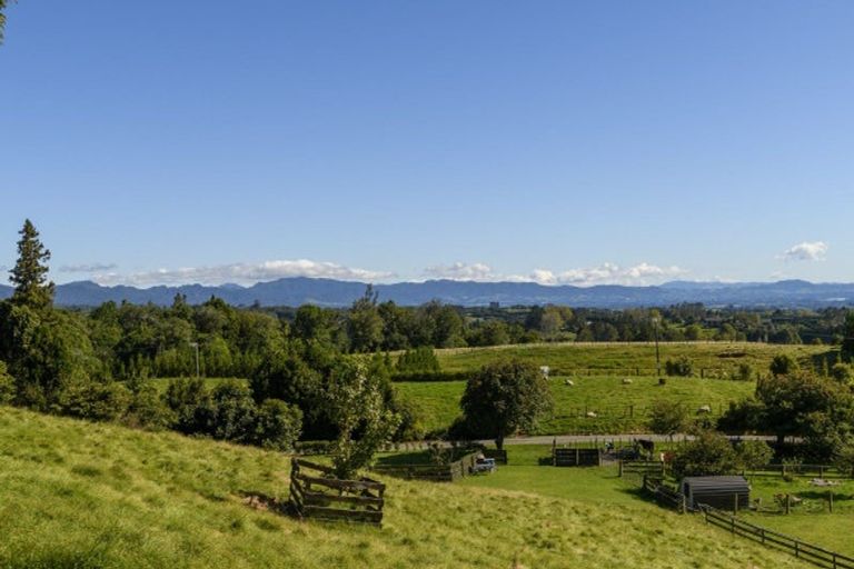 Photo of property in 87 Ross Road, Whakamarama, Tauranga, 3179