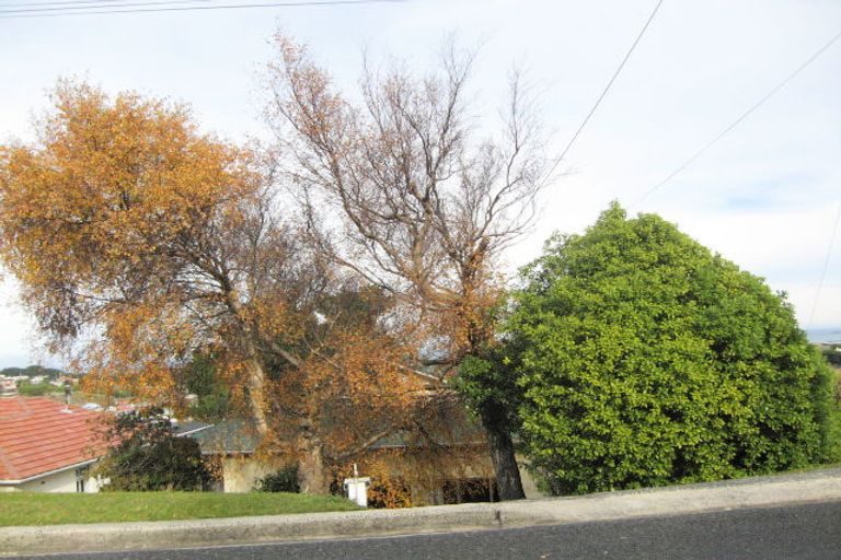 Photo of property in 60 Moana Crescent, Musselburgh, Dunedin, 9013