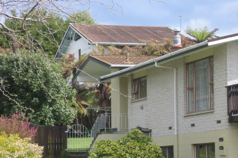 Photo of property in 61 Pegasus Drive, Sunnybrook, Rotorua, 3015