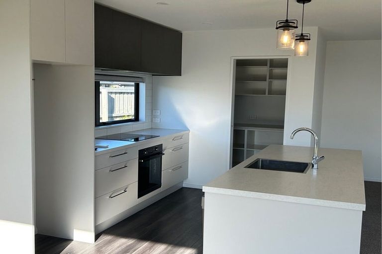 Photo of property in 10 Hurrah Way, Lincoln, 7608