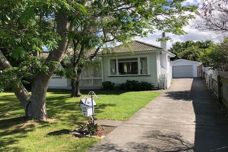 Photo of property in 225 Grove Road, Mayfair, Hastings, 4122