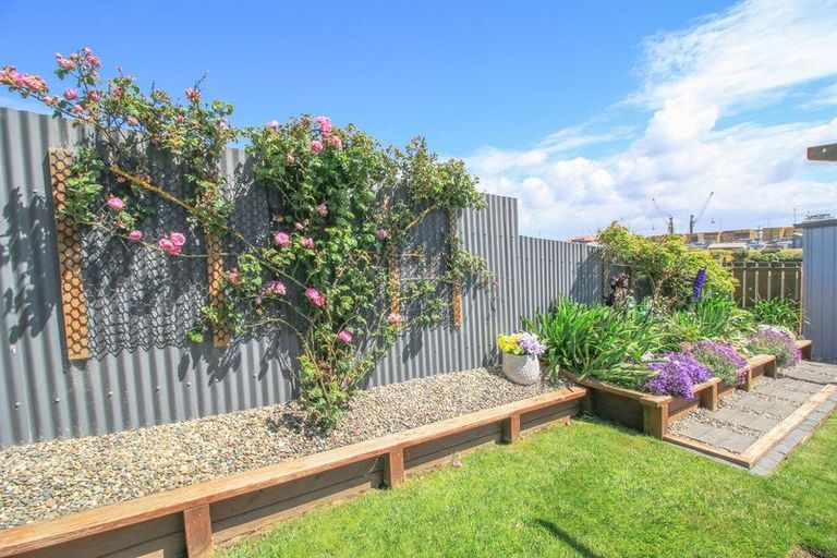 Photo of property in 183 Barrow Street, Bluff, 9814