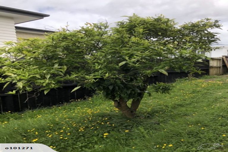 Photo of property in 3/4 Karaka Street, New Lynn, Auckland, 0600