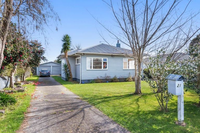 Photo of property in 21 Edinburgh Street, Levin, 5510