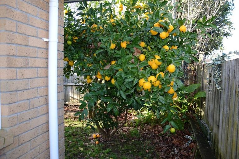 Photo of property in 127 Settlement Road, Papakura, 2110