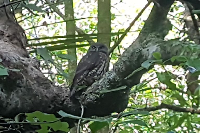 Photo of property in 914 Whakapirau Road, Whakapirau, Maungaturoto, 0583