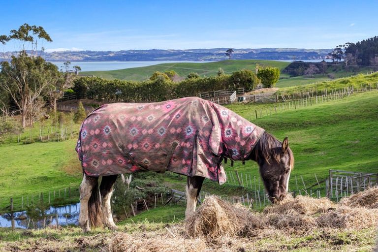 Photo of property in 215 Oyster Point Road, Kaukapakapa, Warkworth, 0984