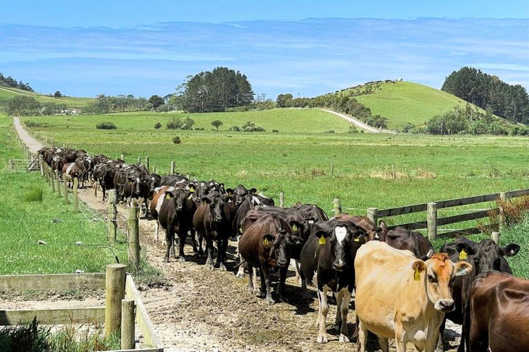 Photo of property in 72 Pilling Road, Tomarata, Wellsford, 0974