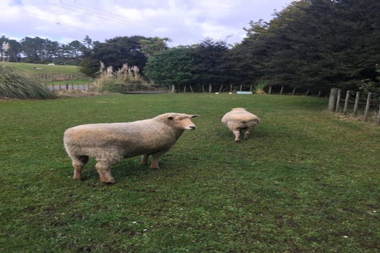 Photo of property in 114 Hamilton Road, Warkworth, 0982