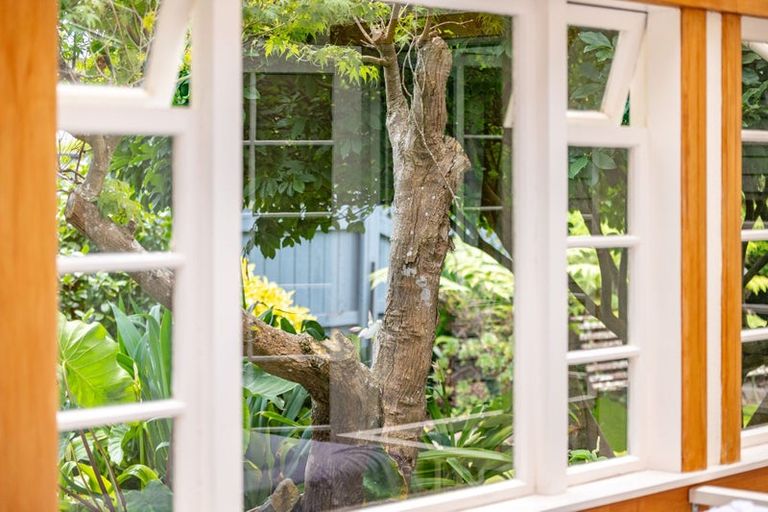 Photo of property in 61 Te Aroha Street, Hamilton East, Hamilton, 3216