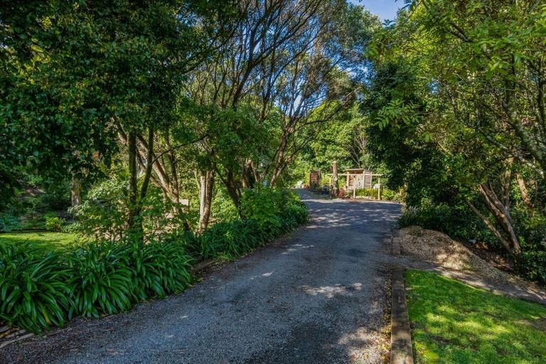 Photo of property in 113 Ruapehu Street, Paraparaumu, 5032