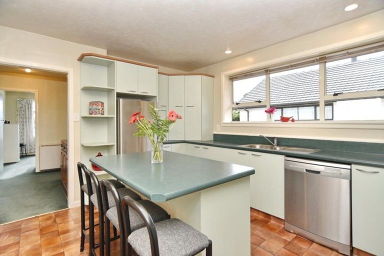 Photo of property in 9 Mcsaveneys Road, Marshland, Christchurch, 8051