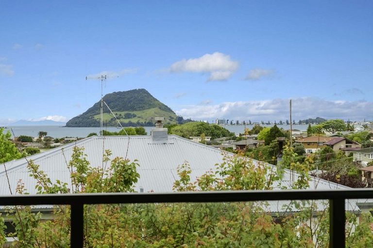 Photo of property in 23b Milton Road, Otumoetai, Tauranga, 3110