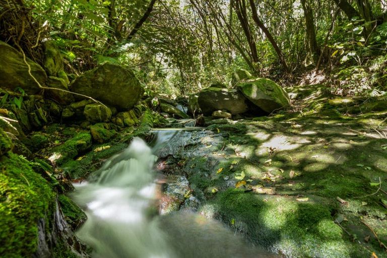 Photo of property in 243 Boons Valley Road, Waikawa, Picton, 7220