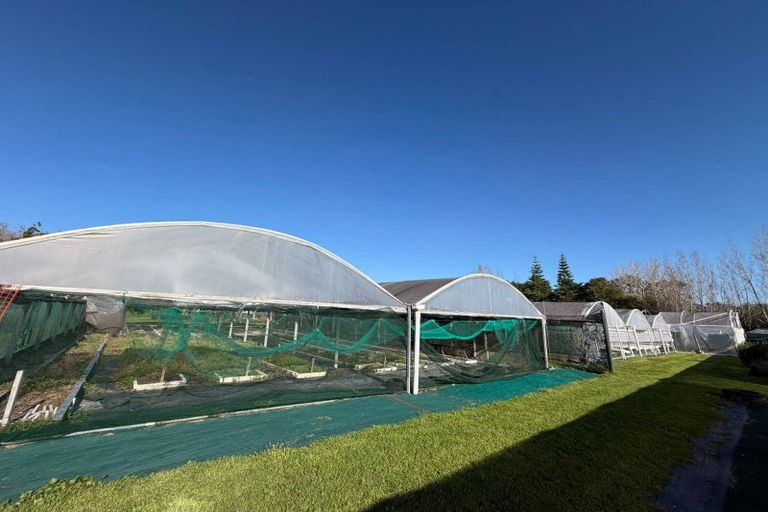 Photo of property in 18 Brigham Creek Road, Whenuapai, Auckland, 0618