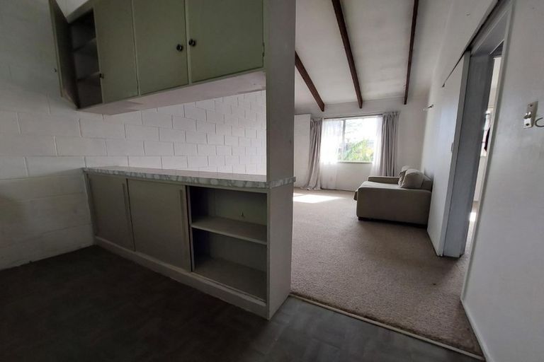 Photo of property in 17 Sandringham Road, Mount Eden, Auckland, 1024