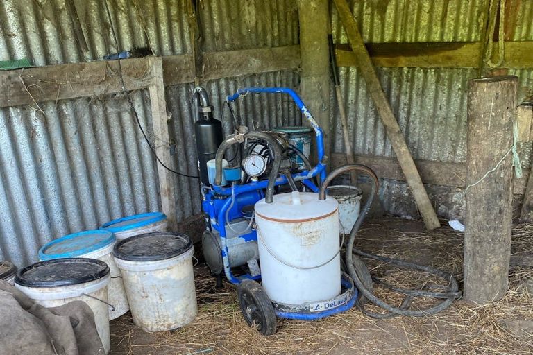 Photo of property in 80 Wainui Road South, Whakamarama, Katikati, 3181