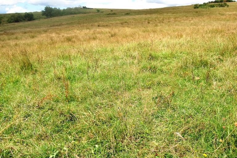 Photo of property in 912 Whatitiri Road, Poroti, Whangarei, 0179