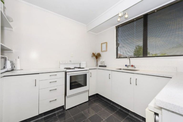 Photo of property in 15a Hinau Street, Maeroa, Hamilton, 3200