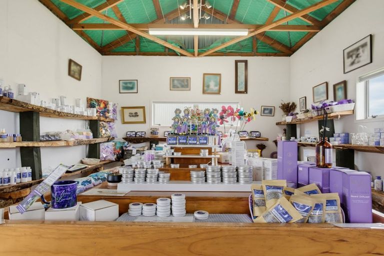 Photo of property in 169 Brotherhood Road, Kihikihi, Te Awamutu, 3875